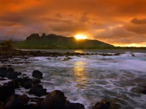 www.myamazing-nature.blogspot.com_40157
