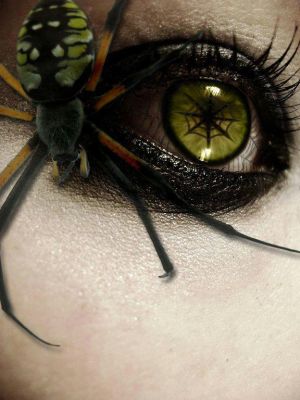 spidereye.jpg