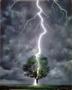lightning-hit-tree