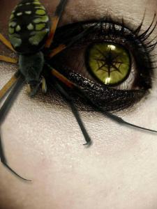 spidereye